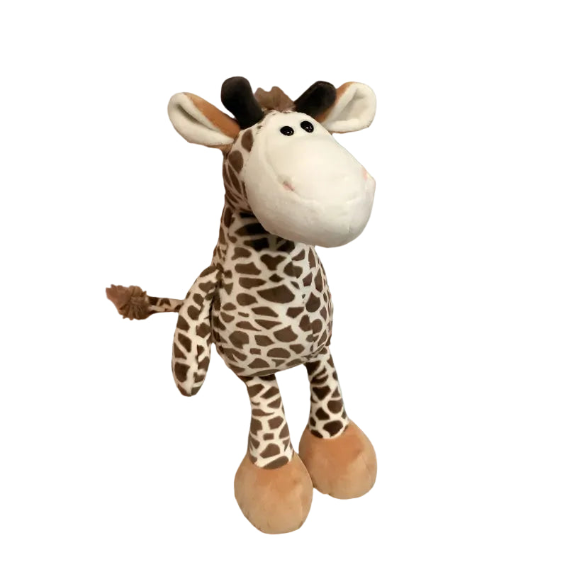 בואו להכיר את החברים החדשים מהג׳ונגל